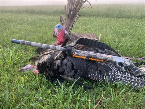 Mud Gun Turkey|The 8 Best Turkey Hunting Shotguns in .